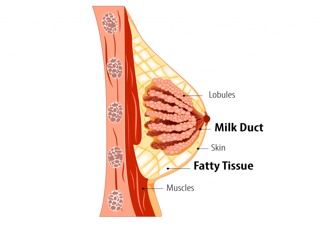 Microwave Ablation Breast Lump Treatment